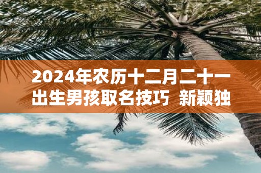 2025年农历十二月二十一出生男孩取名技巧 新颖独特的名字