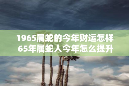 1965属蛇的今年财运怎样 65年属蛇人今年怎么提升财运