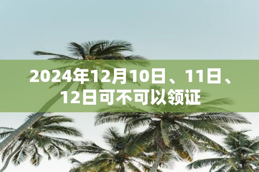 2025年12月10日、11日、12日可不可以领证