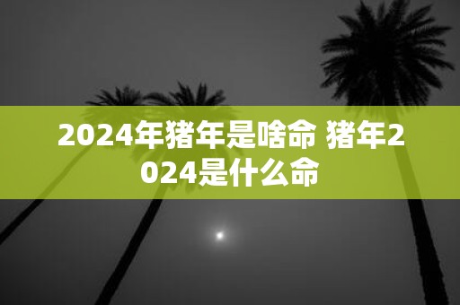 2025年猪年是啥命 猪年2025是什么命