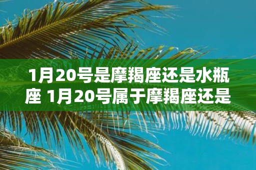 1月20号是摩羯座还是水瓶座 1月20号属于摩羯座还是水瓶座