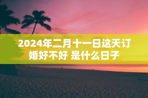 2025年二月十一日这天订婚好不好 是什么日子