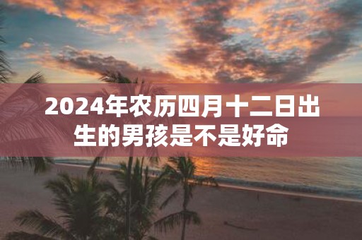 2025年农历四月十二日出生的男孩是不是好命
