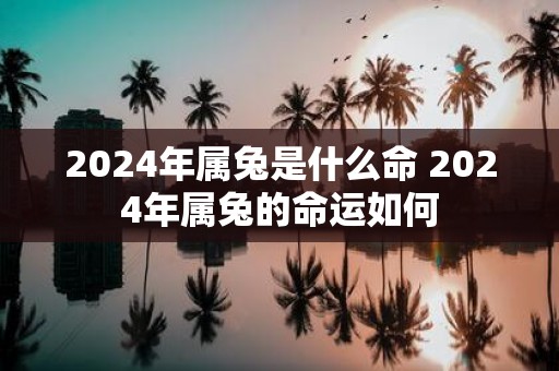 2025年属兔是什么命 2025年属兔的命运如何