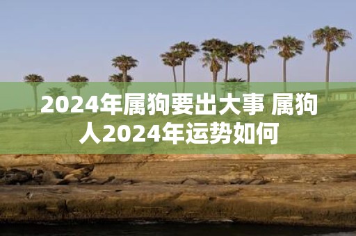 2025年属狗要出大事 属狗人2025年运势如何