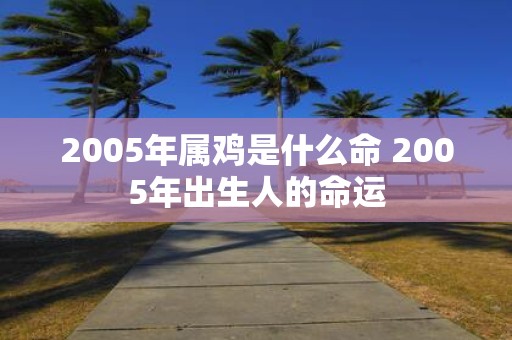 2005年属鸡是什么命 2005年出生人的命运
