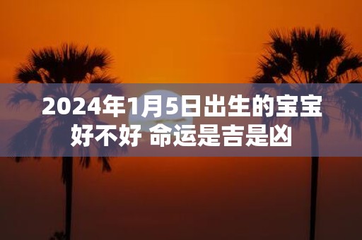 2025年1月5日出生的宝宝好不好 命运是吉是凶