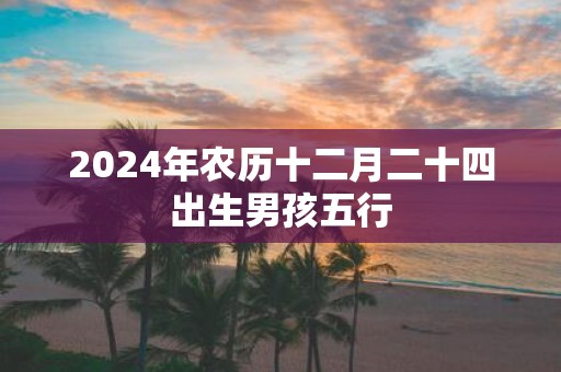 2025年农历十二月二十四出生男孩五行