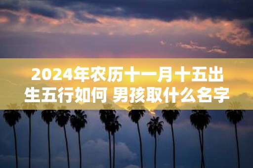 2025年农历十一月十五出生五行如何 男孩取什么名字寓意好