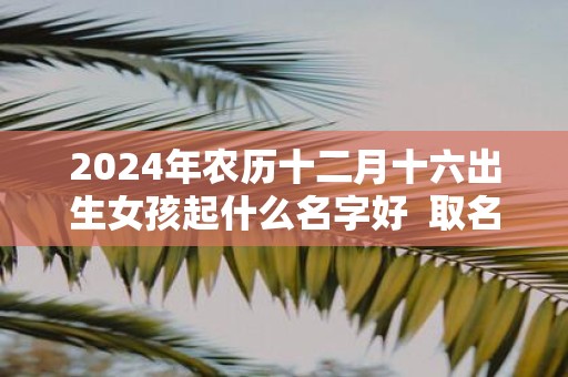 2025年农历十二月十六出生女孩起什么名字好 取名宜用字