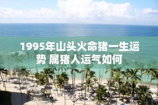 1995年山头火命猪一生运势 属猪人运气如何