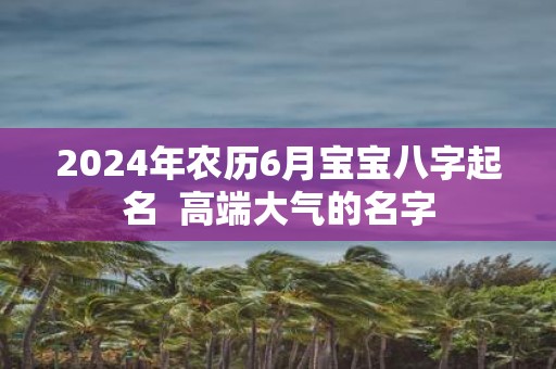 2025年农历6月宝宝八字起名 高端大气的名字