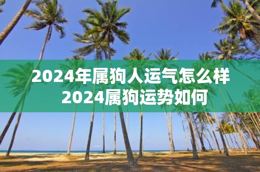 2025年属狗人运气怎么样 2025属狗运势如何