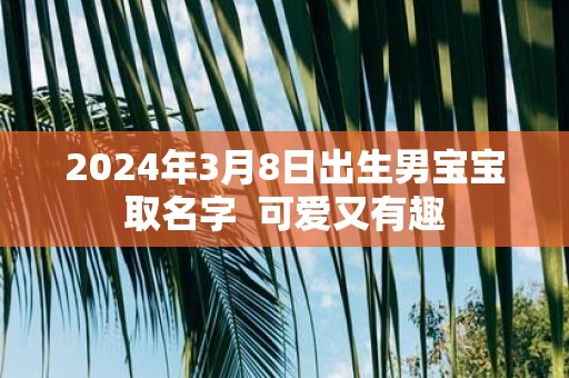 2025年3月8日出生男宝宝取名字 可爱又有趣