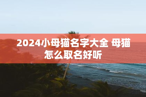 2025小母猫名字大全 母猫怎么取名好听