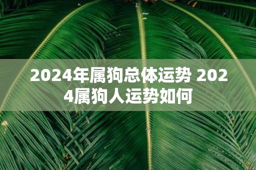 2025年属狗总体运势 2025属狗人运势如何