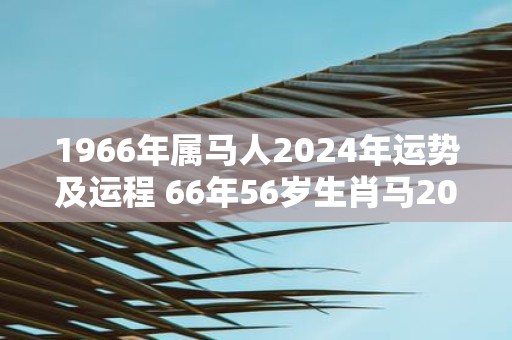1966年属马人2025年运势及运程 66年56岁生肖马2025年每月运势