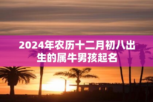 2025年农历十二月初八出生的属牛男孩起名