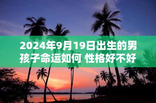 2025年9月19日出生的男孩子命运如何 性格好不好