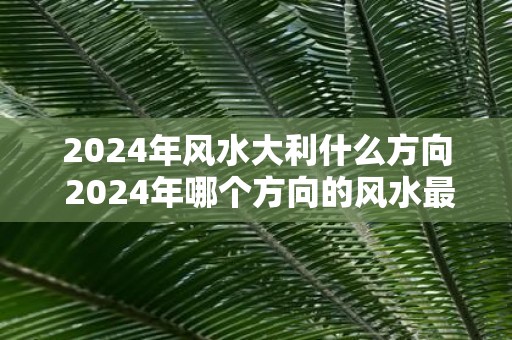 2025年风水大利什么方向 2025年哪个方向的风水最佳