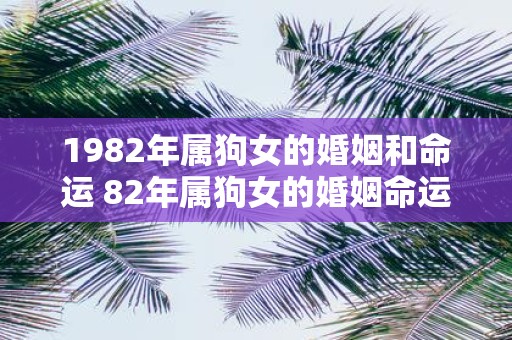1982年属狗女的婚姻和命运 82年属狗女的婚姻命运如何