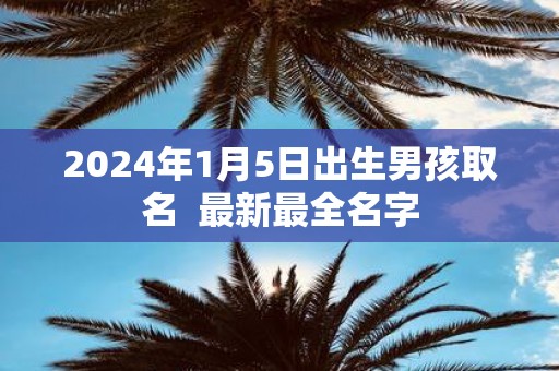 2025年1月5日出生男孩取名 最新最全名字