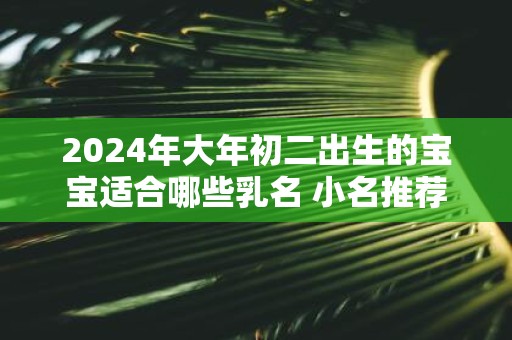 2025年大年初二出生的宝宝适合哪些乳名 小名推荐