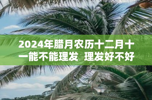 2025年腊月农历十二月十一能不能理发 理发好不好