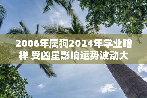 2006年属狗2025年学业啥样 受凶星影响运势波动大