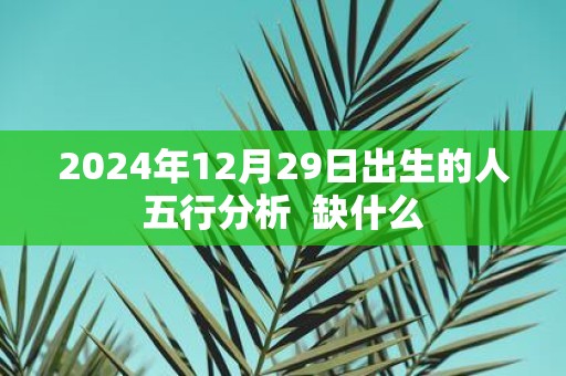 2025年12月29日出生的人五行分析 缺什么