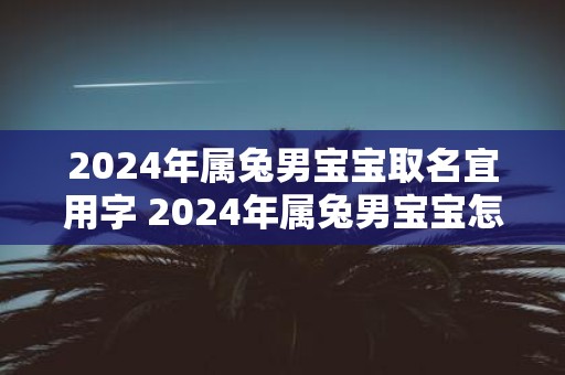 2025年属兔男宝宝取名宜用字 2025年属兔男宝宝怎么取名
