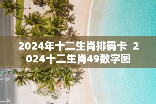 2025年十二生肖排码卡 2025十二生肖49数字图