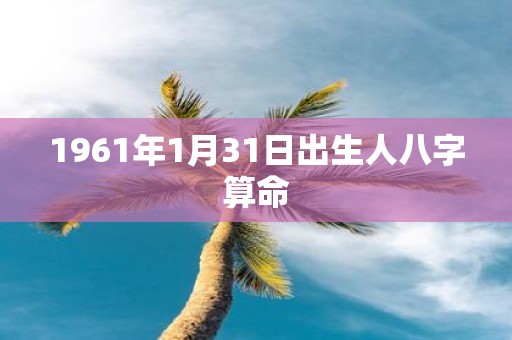 1961年1月31日出生人八字算命