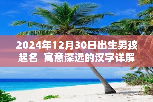 2025年12月30日出生男孩起名 寓意深远的汉字详解