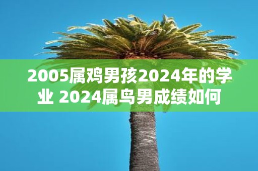 2005属鸡男孩2025年的学业 2025属鸟男成绩如何