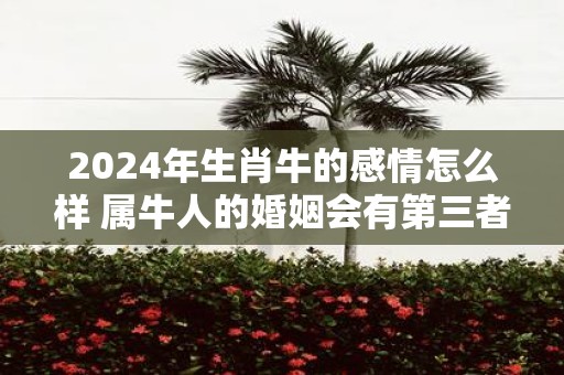 2025年生肖牛的感情怎么样 属牛人的婚姻会有第三者吗