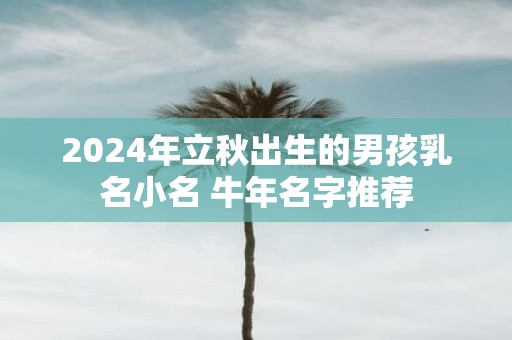 2025年立秋出生的男孩乳名小名 牛年名字推荐