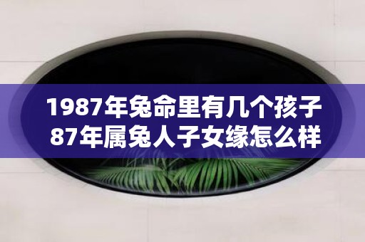1987年兔命里有几个孩子 87年属兔人子女缘怎么样