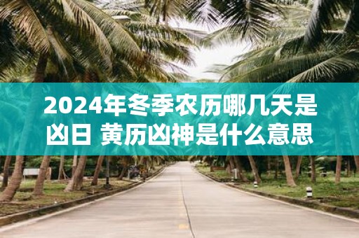 2025年冬季农历哪几天是凶日 黄历凶神是什么意思