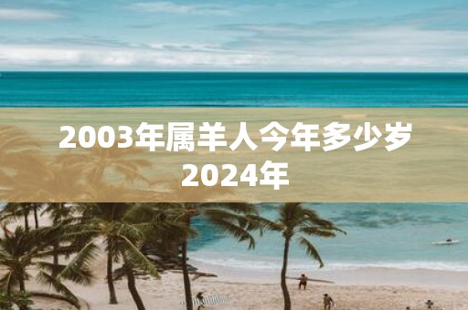 2003年属羊人今年多少岁2025年