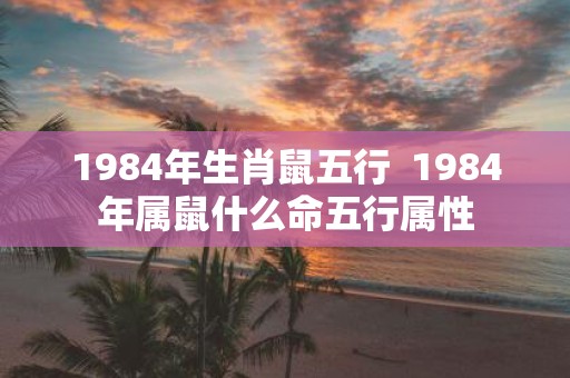 1984年生肖鼠五行 1984年属鼠什么命五行属性