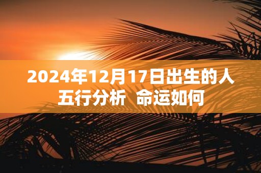 2025年12月17日出生的人五行分析 命运如何