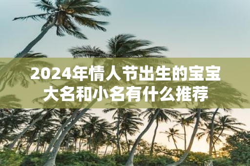 2025年情人节出生的宝宝大名和小名有什么推荐
