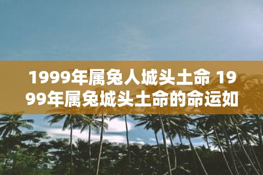 1999年属兔人城头土命 1999年属兔城头土命的命运如何