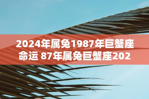 2025年属兔1987年巨蟹座命运 87年属兔巨蟹座2025年运势