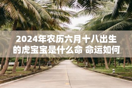 2025年农历六月十八出生的虎宝宝是什么命 命运如何