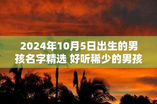2025年10月5日出生的男孩名字精选 好听稀少的男孩名字