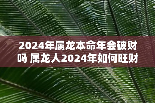 2025年属龙本命年会破财吗 属龙人2025年如何旺财