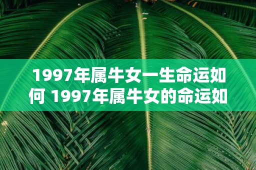 1997年属牛女一生命运如何 1997年属牛女的命运如何