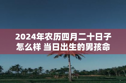 2025年农历四月二十日子怎么样 当日出生的男孩命运